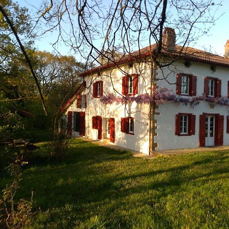 Chambres Maison Labourdasse Saint-Martin-de-Hinx Eksteriør bilde