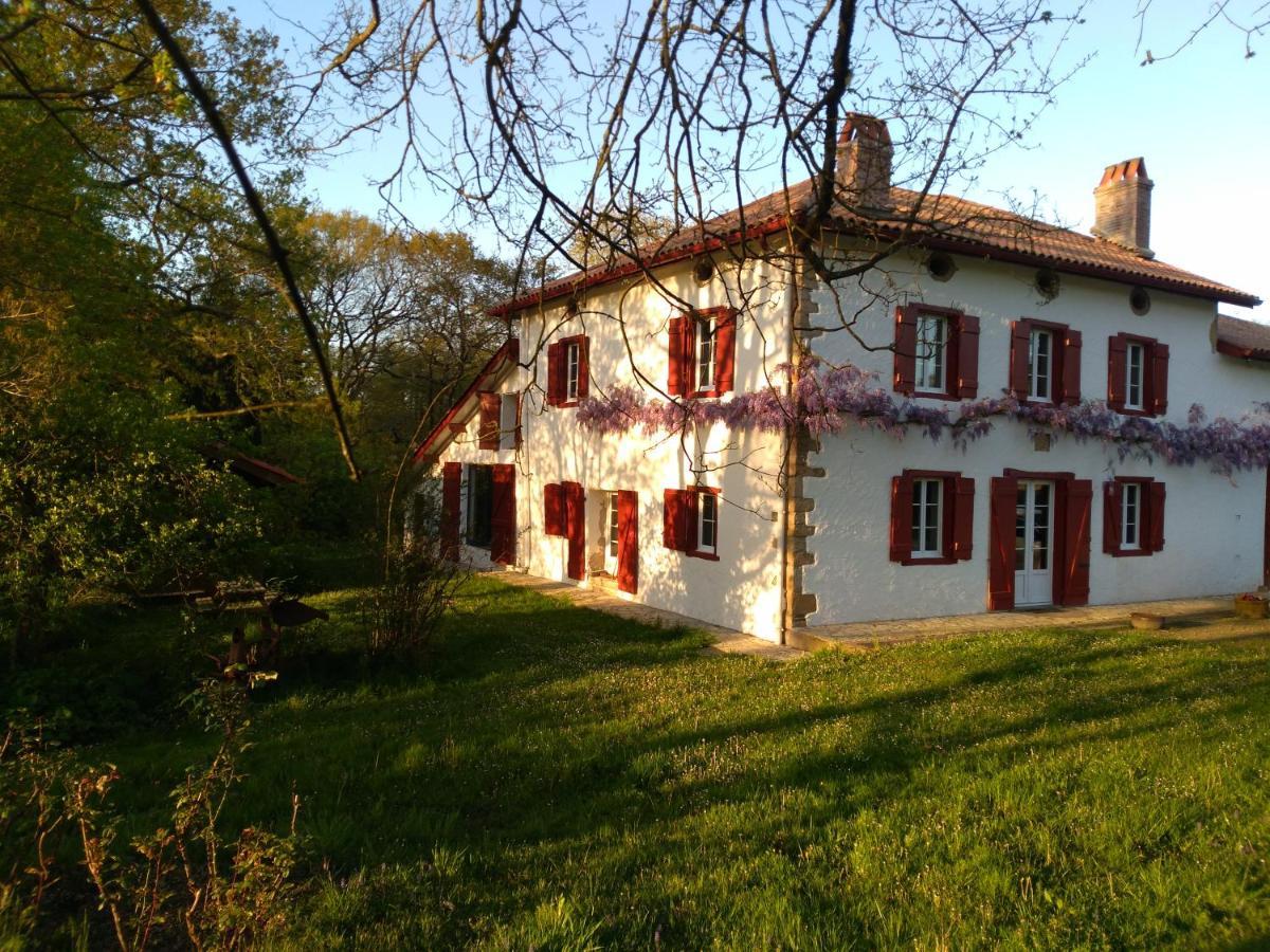 Chambres Maison Labourdasse Saint-Martin-de-Hinx Eksteriør bilde